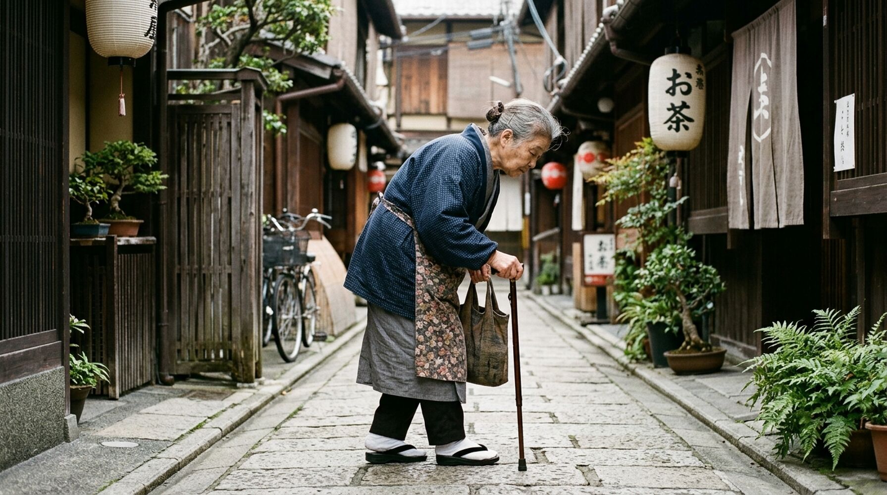 画像2487